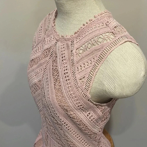 Anthropologie Greylin - Emilia Lace Mini Dress - Chalk Rose - Size Small - Picture 6 of 14